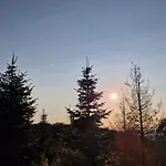 Waldzauber Schwarzwaldvibes Meets Weinregion * Appenweier