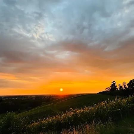 Waldzauber Schwarzwaldvibes Meets Weinregion *