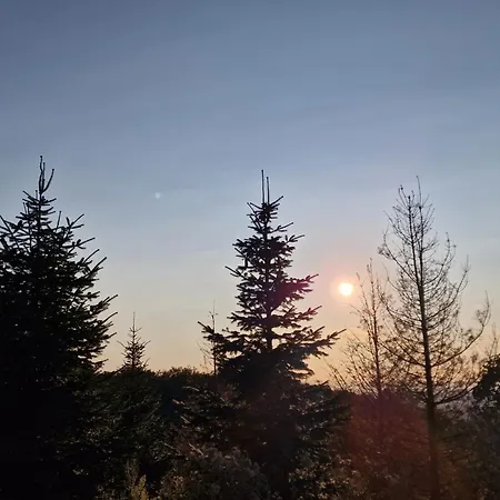 Waldzauber Schwarzwaldvibes Meets Weinregion * Appenweier