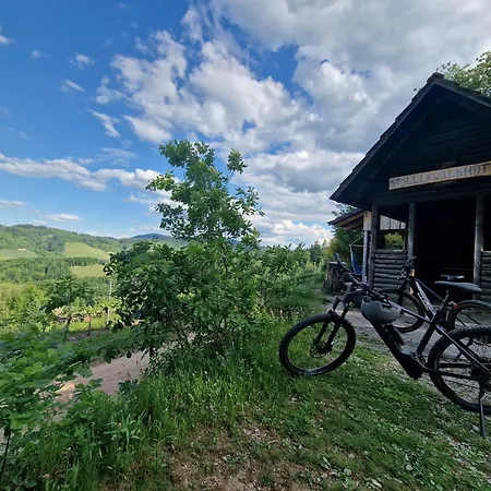 Waldzauber Schwarzwaldvibes Meets Weinregion Appartement Appenweier